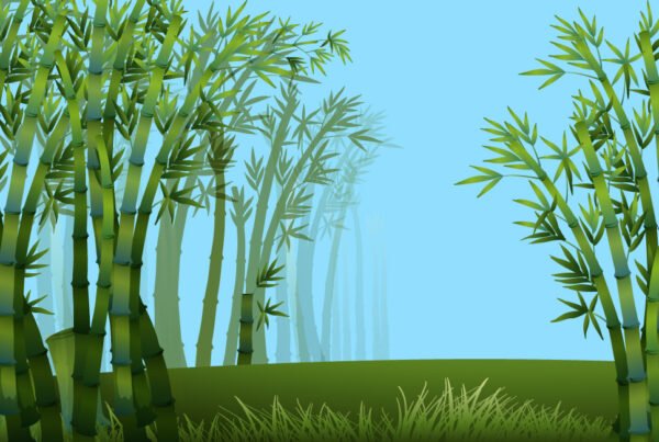 Chinese Bamboo Tree Story